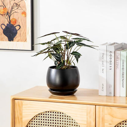 vancasso 3-Pack Ceramic Plant Pots, 3.7/4.8/6.2 Inch Indoor Planters with Saucers & Drainage Hole Planter pots for Indoor Plants and Flower, Black