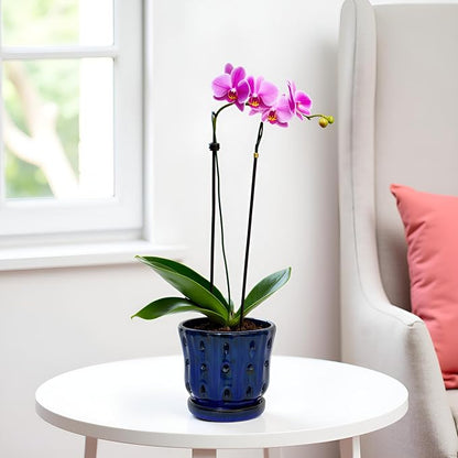 Orchid Pots 4.9 inch Ceramic Orchid Pots with Holes and Draiange Hole Orchid Planter Set of 2 (Dark Blue)