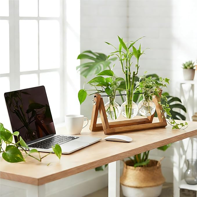 Renmxj Plant Propagation Station, Plant Terrarium with Wooden Stand | Unique Gardening Birthday Gifts for Women Plants Lovers, Home Office Garden Decor Planter - 3 Bulb Glass Vases