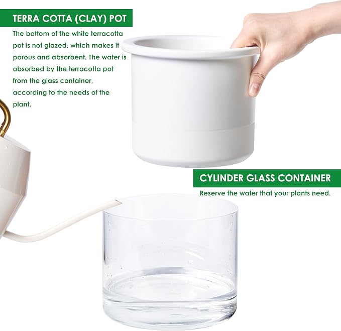Phoenix Vine 6 Inch Self Watering Planter, Design White Terracotta Pot for Plants, Indoor Cylinder Terra Cotta Pot with Glass Vase, Set of 1, 51-B-F-1