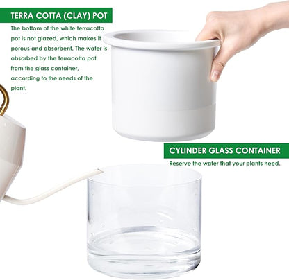 Phoenix Vine 6 Inch 4 Inch Self Watering Planter Pots, Design White Terracotta Pots for Plants, Indoor Cylinder Terra Cotta Pots with Glass Vase Set, 51-B-G-46