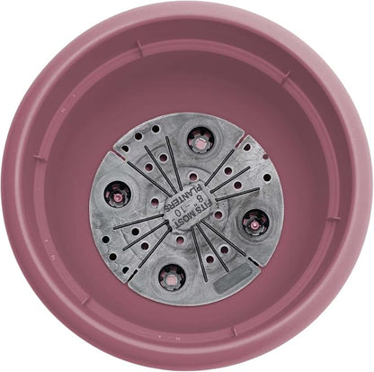 Bloem Ariana 8" Plastic Self-Watering Planter, Dusty Rose, 4-Pack | Self-watering disk at the bottom of each pot that acts as a water wick and reservoir for optimal plant health