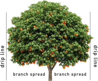 Jobe’s Garden Fertilizer Spikes, Easy Plant Care Slow Release Fertilizer for Fruit and Citrus Plants and Trees, 9 Count