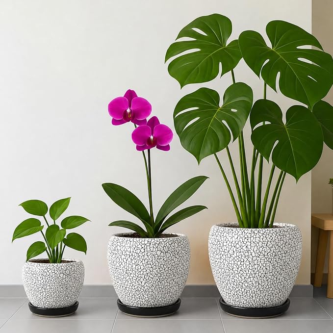 Deep Dream 6 Inch Plant Pots- Ceramic Planter Pot with Drainage Hole and Saucer, Round Flower Pot for Indoor Outdoor Succulent, Snake Plants and Cactus, Wood Crack Black