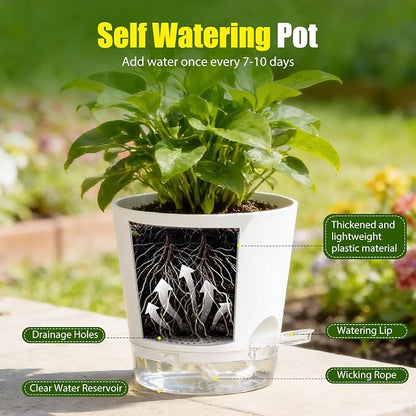 Plant Pots 6 Inch Self Watering Pots,6 Pack Plastic Planters with Drainage Holes and Clear Saucers,Plastic Flower Pots,Nursery Planting Pot for Indoor Out Door Plants (White)