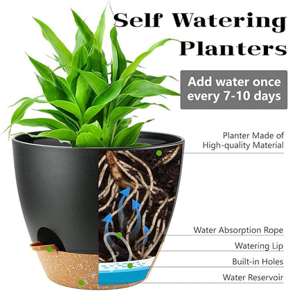 Self Watering Plant Pots with Drainage & Saucers, 6-Pack 5 in - Plastic Flower Pots for Indoor Plants, Succulents & Herbs, Planters for Indoor Outdoor & Balcony (Black)