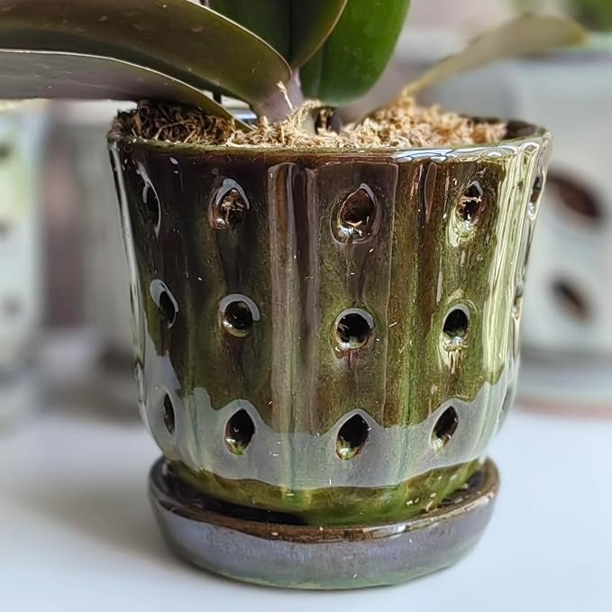 Orchid Pots 4.9 inch Ceramic Orchid Pots with Holes Set of 2 (mossgreen+White)
