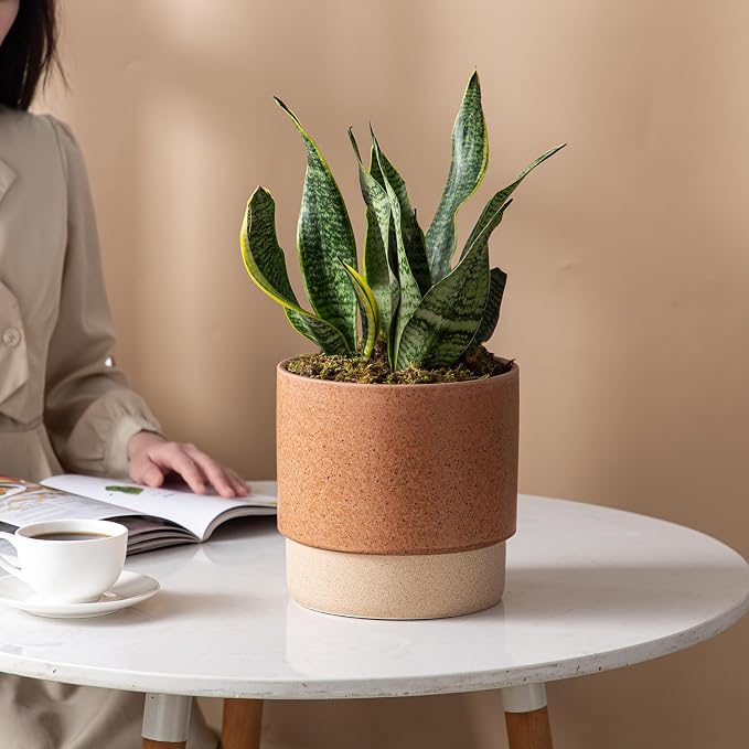 8 Inch Ceramic Self Watering Planter with Drainage Hole Terracotta | Indoor Plant Pot with Water Storage Plus - for African Violet, Herbs & Pothos - Home & Office Decor, Cylinder Round