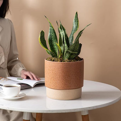 8 Inch Ceramic Self Watering Planter with Drainage Hole Terracotta | Indoor Plant Pot with Water Storage Plus - for African Violet, Herbs & Pothos - Home & Office Decor, Cylinder Round