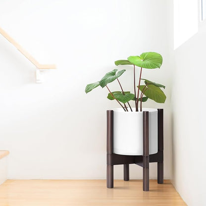 D'vine Dev Plastic Pot with Walnut Wood Stand, White, 8 in, 55-C-I-1 | Mid-Century Inspired Design, Elevated Plant Display, Clean Lines, Sturdy Support, Modern Space-Saving Style