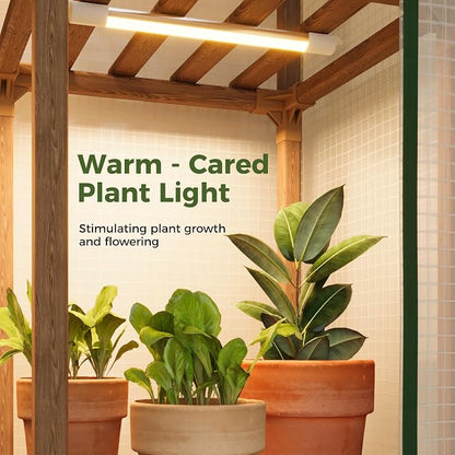 Bamworld Small Greenhouse for Indoors with Grow Lights Greenhouses for Seed Starting Small Portable Green Houses Waterproof PVC Cover & Adjustable Shelves