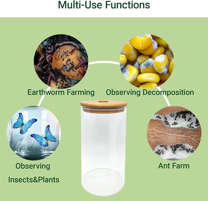 Science Education Worm Compost Experiment bin, Waste Decomposition into composting kit, ant Farming Plant