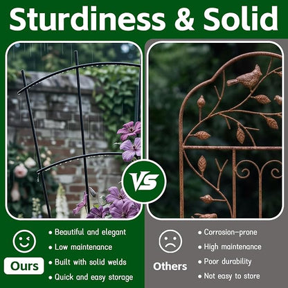 Thealyn 4 Pack 24" Metal Plant Trellis for Pots & Garden Beds, Rustproof Support for Indoor Outdoor Climbing Plants, Vines, Flowers, Fan Shaped, Black