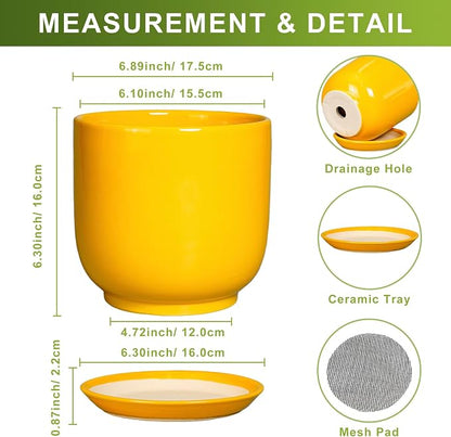 Indoor Plant Pot - 7 Inch Modern Round Ceramic Planter for Indoor Outdoor Plants with Drainage Hole and Saucer, Home Garden Office House Decor, Yellow