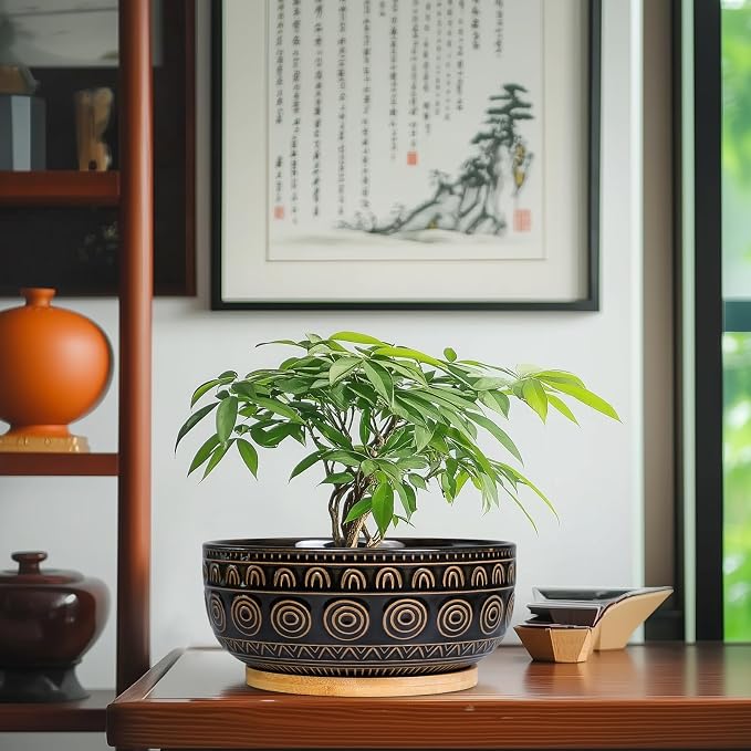 Eightpot Ceramic Bonsai Pots - 8 Inch Plant Pot for Succulent, Round Planter for Indoor Plants, Shallow Planters with Drainage Hole and Tray, Boho Bonsai Bowl, Living Room Decor, Black
