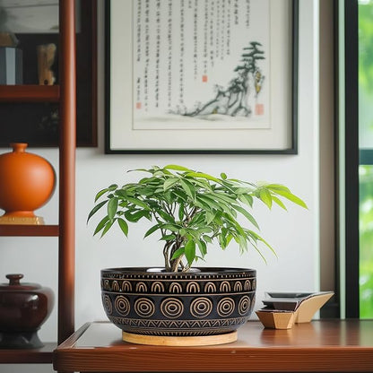 Eightpot Ceramic Bonsai Pots - 8 Inch Plant Pot for Succulent, Round Planter for Indoor Plants, Shallow Planters with Drainage Hole and Tray, Boho Bonsai Bowl, Living Room Decor, Black