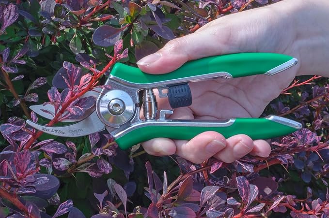 Dramm Bypass Pruner, Cut up to 5/8-inch in diameter, Stainless Steel Blade, Green