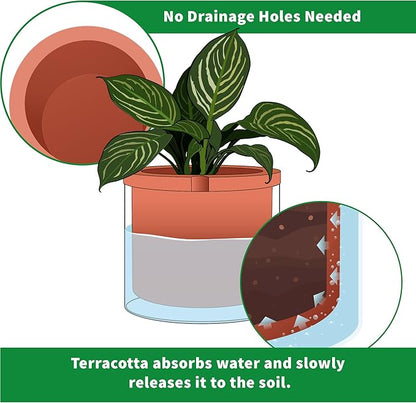 Phoenix Vine 8 Inch Self Watering Planter, Design Terracotta Pot for Plants, Indoor Cylinder Terra Cotta Pot with Glass Vase, Set of 1, 51-A-H-1