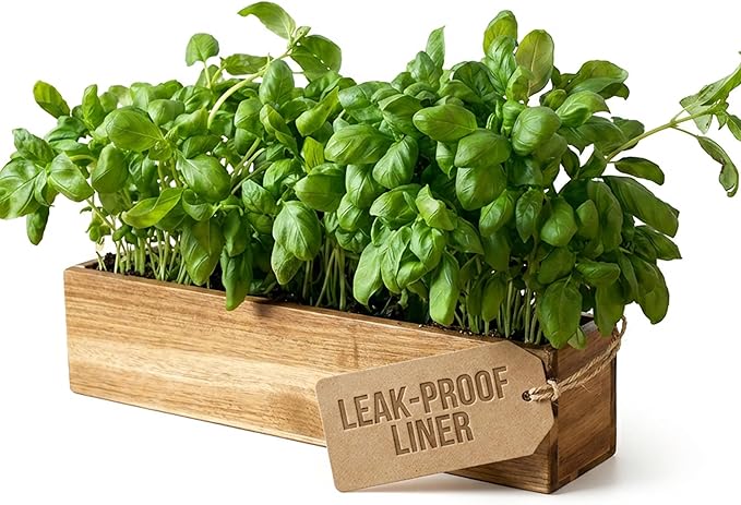 zaqro Indoor Planter Box Set of 2-17” x 4” Small Acacia Wood Window Sill Herb Planters - Rectangular Wooden Centerpiece Boxes with Liners - No Drain Holes - for Kitchen Tabletop Countertop