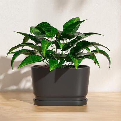 8.9" Rectangular Ceramic Planter with Drainage and Saucer, Black | Indoor Outdoor Use, 8.9"L x 4.5"W x 5.3"H, Modern Home Decor, Window Box Planter, Matte Black