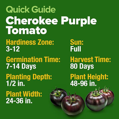HOME GROWN Cherokee Purple Tomato Seeds 106+ Heirloom Non GMO Seeds for Planting, High Germination, Indeterminate, Rich Smoky Flavor, Large Beefsteak Slicing Tomato, Home Garden (Solanum lycopersicum)