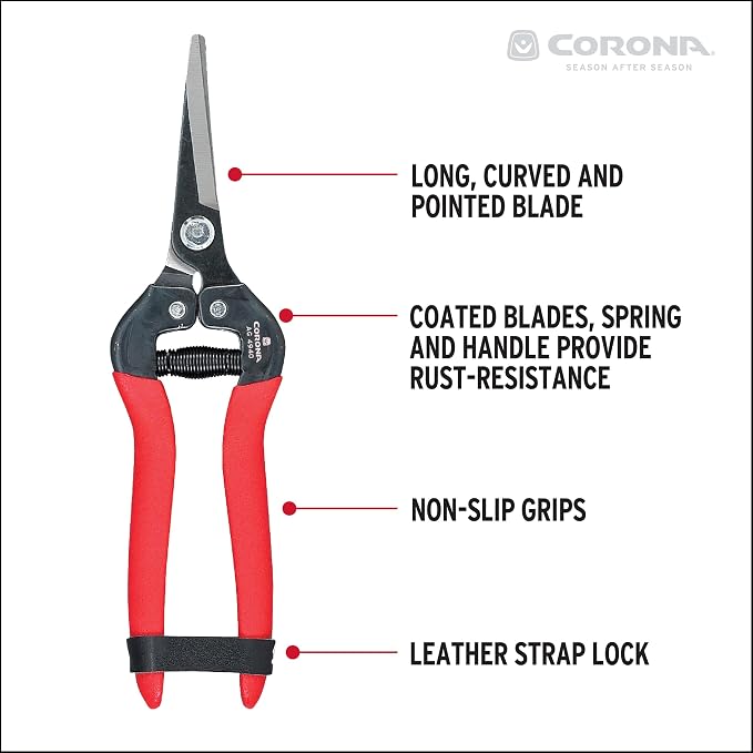 Corona Tools Long Curved Snips – 1.75″ Tempered Steel Precision Garden Shears for Fruit, Herbs, Flowers & Vineyard Use