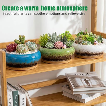 Drzewo Succulent Pots, Succulent Pots with Drainage & Bamboo Tray, 7-Inch Ceramic Drip Glazed Shallow Planter Container Bowl for Indoor Outdoor Plants, Decorative Garden Cactus Flower