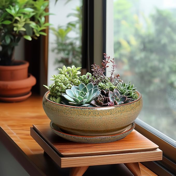 SQOWL Succulent Pots - 8 Inch Ceramic Bonsai Pots, Round Shallow Planter with Drainage Hole and Saucer, Succulent Indoor Planter, Bowl Planters Outdoor, Apartment Decor, Gifts for Women, Brown