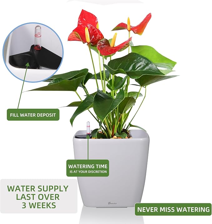 Dexceder 15x14 Self Watering Planter with Wheels (White Matte) | Inner Mat Design, Thickened Large Floor Standing Flower Plant Pot with Water Level Indicator Indoor Outdoor
