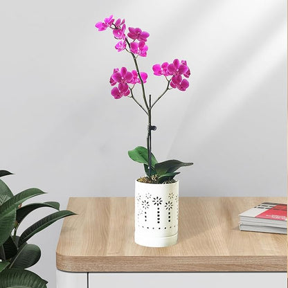 Orchid Pots with Holes,4 Inch Ceramic Orchid Pot for Repotting, Plant Pot for Repotting Orchids and Other Flowers - Indoor/Outdoor White