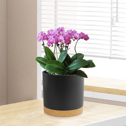 WSMKSZ 3 Pack 6/5/4 inch Cylindrical Flower Pots, Modern Small Round Plastic Plant Pots with Drainage Holes & Saucers, Clean and Refined Planter Pots for Outdoor, Indoor & Office Decor (Black Brown)