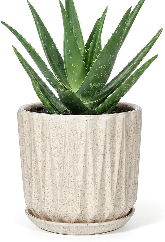 7.5 Inch Ceramic Planter Pot with Saucer Drainage Leak-Proof Mesh,Flower Pots for Indoor Plants with Gardening Gloves,Ceramic Planter (Silk White)