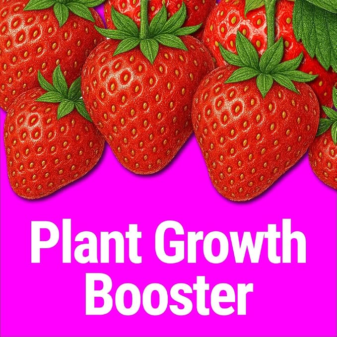 Seedlingers Super Yield Flower & Garden All Purpose Plant Food 32 oz Quart Concentrate