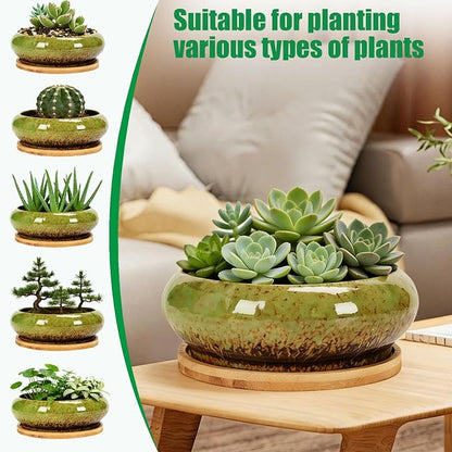 Drzewo Succulent Pots, Succulent Pots with Drainage & Bamboo Tray, 7-Inch Ceramic Drip Glazed Shallow Planter Container Bowl for Indoor Outdoor Plants, Decorative Garden Cactus Flower