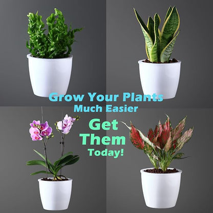 6 Pack 6.7" Self-Watering Planters Flower Pots for Indoor Garden Devil's Ivy, African Violet, Ocean Spider Plant, Orchid, White Color