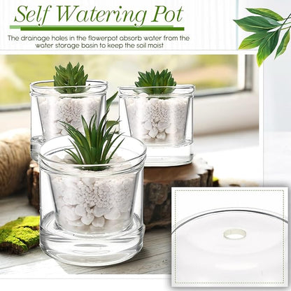 Baderke 2 Pcs 4 Inch Self Watering Pot for Indoor Plants Clear Glass Planter Small Plant Pot with Saucer Reservoir Drainage Holes Bottom Watering Pot for African Violet Orchid Flowers Houseplant