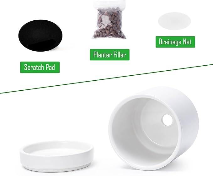 D'vine Dev 4.7 Inch Ceramic Planter Pot, White, 94-O-B-1 | Modern Cylinder Design, Drainage Hole & Saucer Included, Stable Structure, Elegant Home Accent