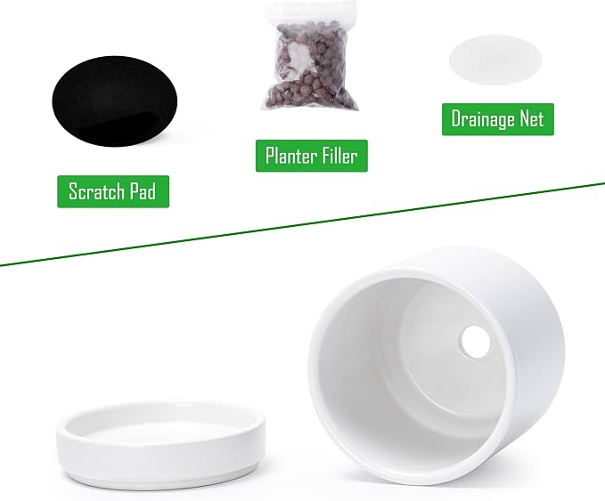 D'vine Dev Set of 4 Small Ceramic Plant Pots, 3.5 Inch Succulent Planter Pot for Plants with Drainage Hole and Saucer, White, 94-X-A-1