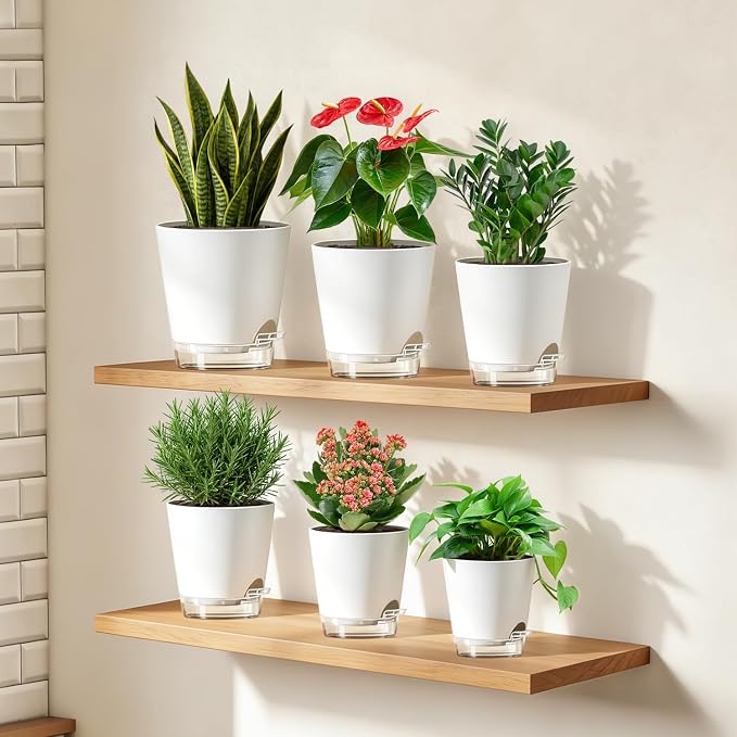 QRRICA 5/5.5/6/6.5/7/8 inch Self Watering Pot Set, Visible Water Level Planter with Transparent Reservoir & Drainage Holes, Plastic Flower Pots with Cotton Rope for Indoor/Outdoor Use (White)