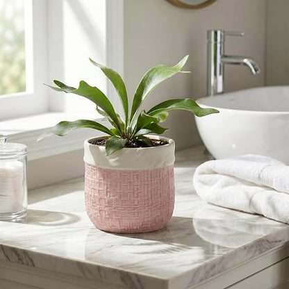 6 Inch Plant Pot - Ceramic Planter for Indoor Outdoor Plants, Round Decorative Planter with Drainage Hole and Plug, Boho Plant Pots, House Room Garden Decor, Plant Lover Gifts, Pink