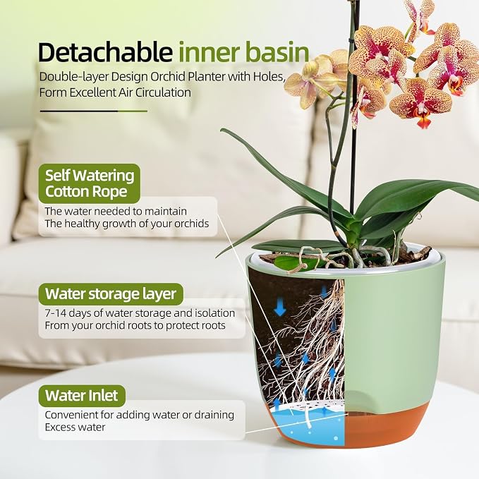 QCQHDU 5.7Inch Orchid Pots with Holes for Repotting, Double-Layer Plastic Self Watering Flower Pots for Indoor Plants with Drainage Holes, Clear Orchid Pot Match Decorative Orchid Container, 1 Pack
