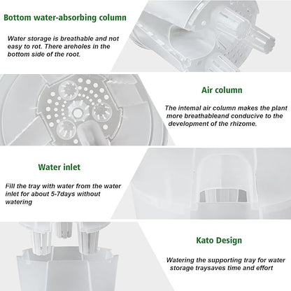 Cdd's Path Large Naked Root Planter Self Watering Pots Set with Holes for Indoor/Outdoor Plants, Planter Pot with Watering Hole/Reservior and Air Pipes (Clear, 8 inch-5 Pack)