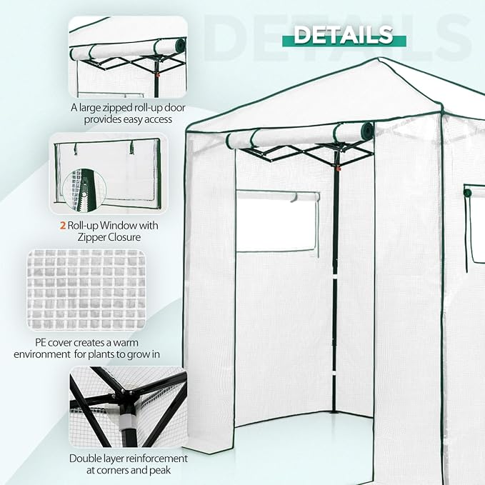 EAGLE PEAK 6x4 Portable Walk in Greenhouse, Pop Up Indoor Outdoor Greenhouse, Green House Kit with Zippered Roll-Up Doors and Windows, PE Cover, Clear/White