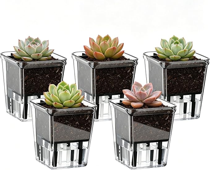 Self Watering Pots Set, 5 Pack 2.7 Inch Self Watering Pots for Indoor Plants, Clear Planter Pot with Deep Reservoir for Spider Plant, Orchid, African Violet (5Pcs Small)