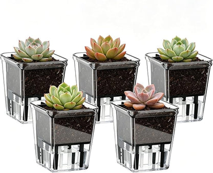 Self Watering Pots Set, 5 Pack 2.7 Inch Self Watering Pots for Indoor Plants, Clear Planter Pot with Deep Reservoir for Spider Plant, Orchid, African Violet (5Pcs Small)
