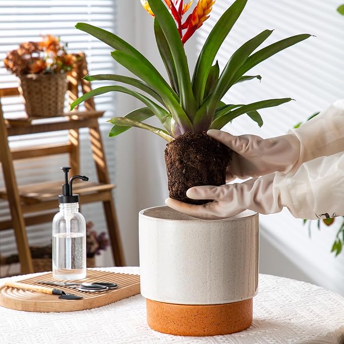 8 Inch Ceramic Self Watering Planter with Drainage Hole, Grey | Indoor Plant Pot with Water Storage Plus - for African Violet, Herbs & Pothos - Home & Office Decor, Cylinder Round