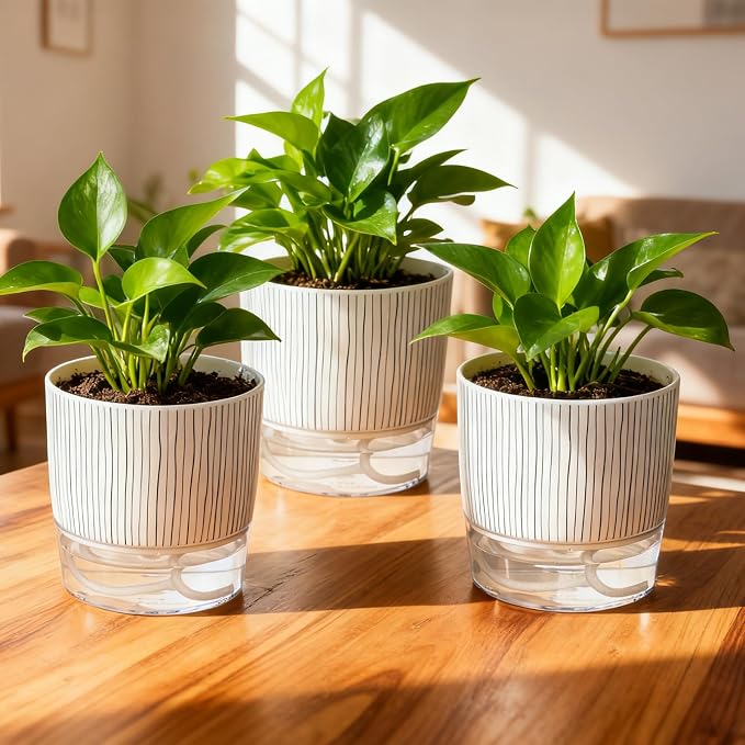 3 Pack Self Watering Pots Set, 5.5 Inch Self Watering Pots for Indoor Plants, Planter Pot with Wick Rope and Reservoir for African Violet, Spider Plant, Orchid