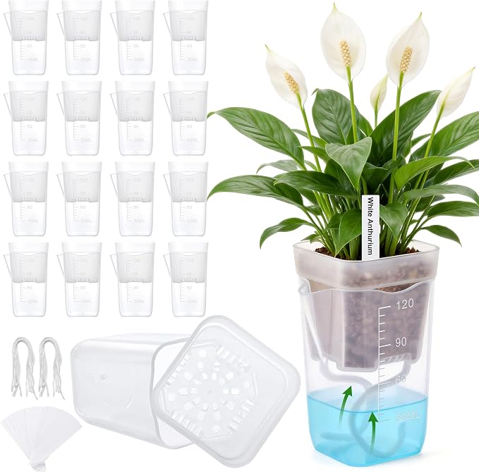2" Clear Self Watering Pots for Indoor Plants,16PCS Mini Plastic Nursery Planters with Water Level Indicator & Drainage Holes for Propagation,Succulents,Seedling,African Violet,Plant Labels