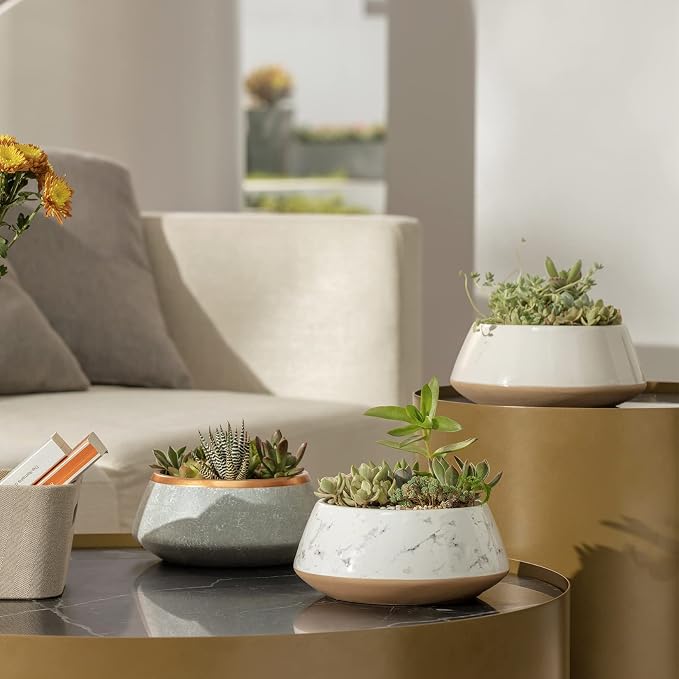 La Jolie Muse Large Succulent Planter Plant Pots, Ceramic Indoor Outdoor Garden Pot W/ Drainage for Plant Flower, 8 Inch, Splash Ink & Sandy Beige