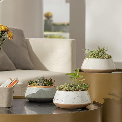 La Jolie Muse Large Succulent Planter Plant Pots, Ceramic Indoor Outdoor Garden Pot W/ Drainage for Plant Flower, 8 Inch, Splash Ink & Sandy Beige